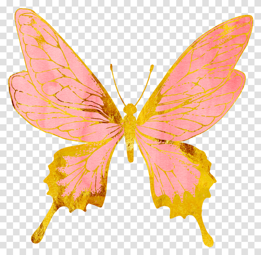 Rose Gold Butterfly, Insect, Invertebrate, Animal, Bird Transparent Png
