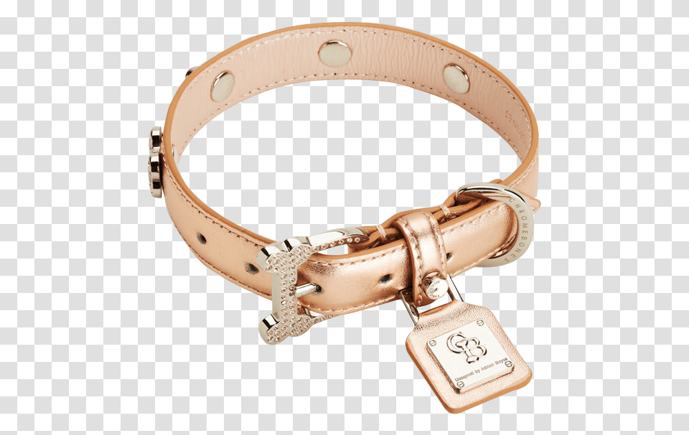 Rose Gold Metallic Dog Collar, Accessories, Accessory, Belt, Buckle Transparent Png