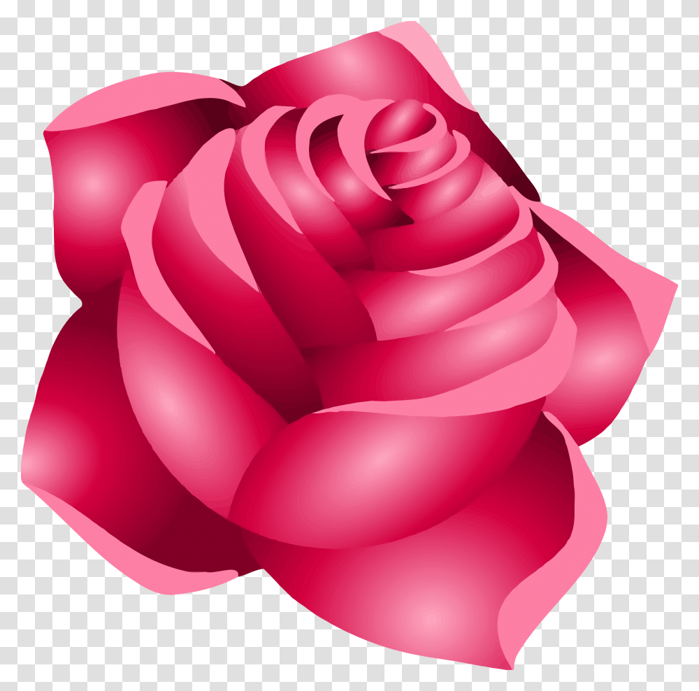 Rose Graphic Imagens Rosas, Flower, Plant, Sweets, Food Transparent Png