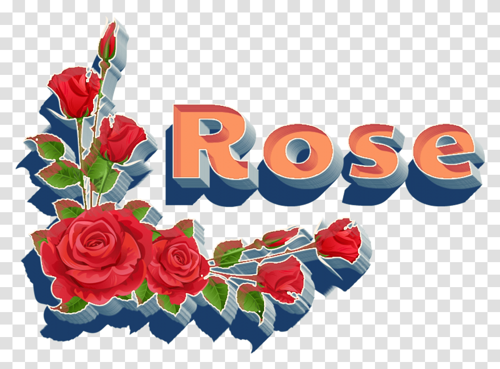 Rose Hd Garden Roses, Plant, Flower Transparent Png