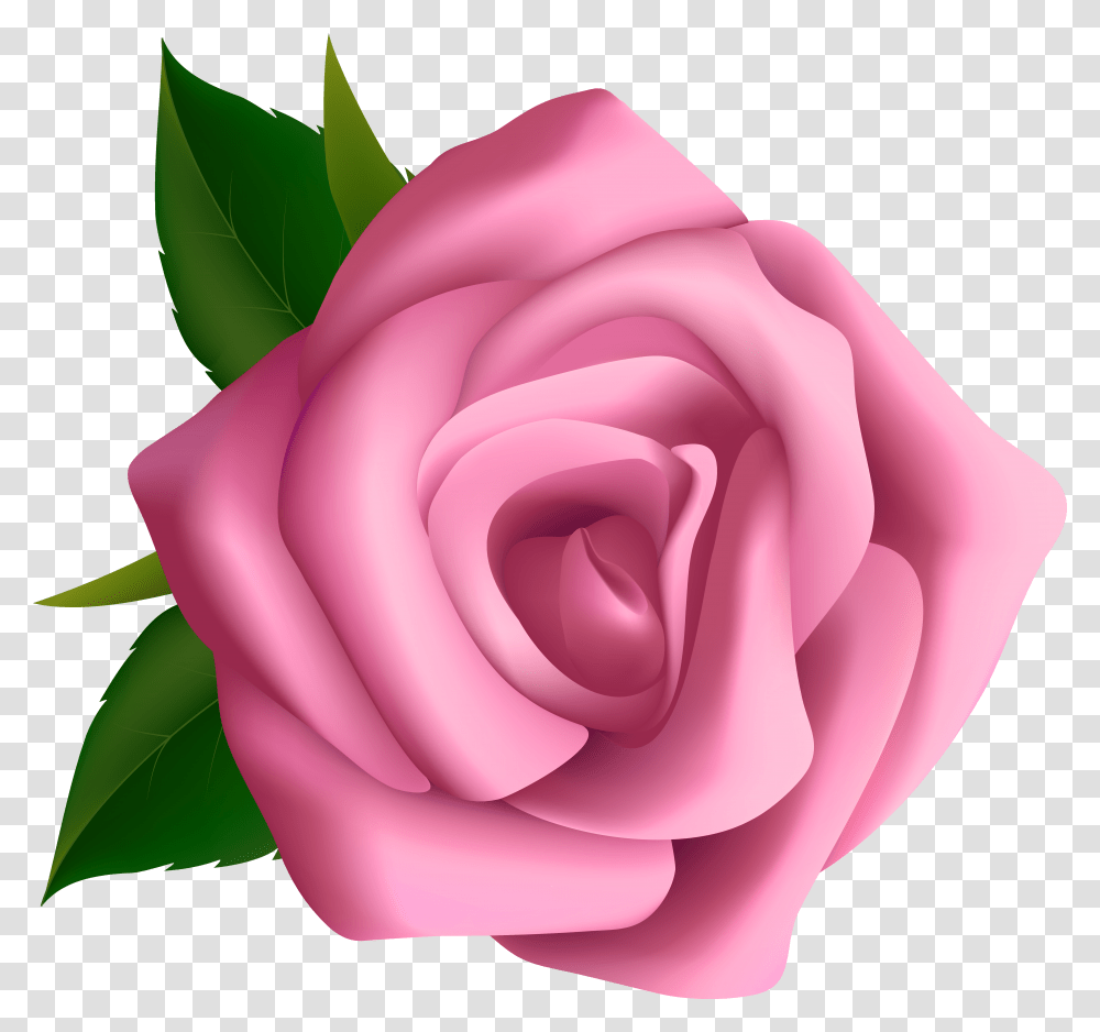 Rose Hd Rose Clipart Transparent Png