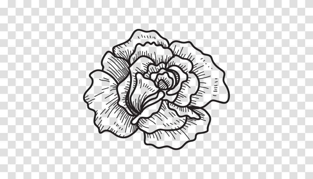 Rose Head Sketch Icon, Plant, Tree, Flower, Blossom Transparent Png