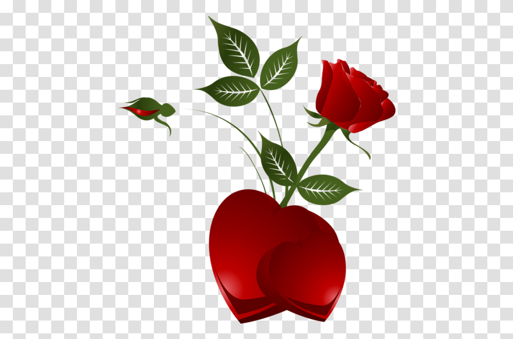 Rose Heart Clipart Picture Red Rose With Heart, Plant, Flower, Blossom, Bird Transparent Png