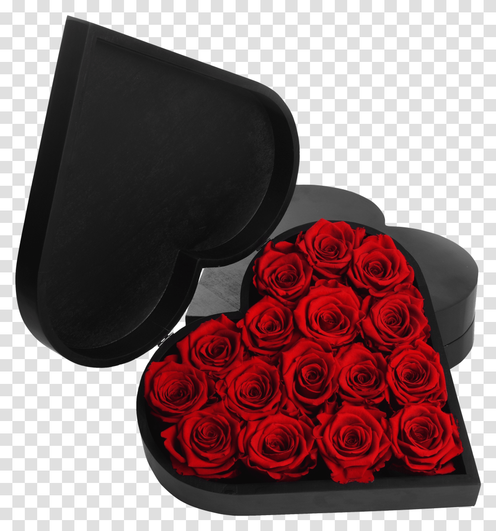 Rose Heart Garden Roses, Flower, Plant, Blossom, Cushion Transparent Png
