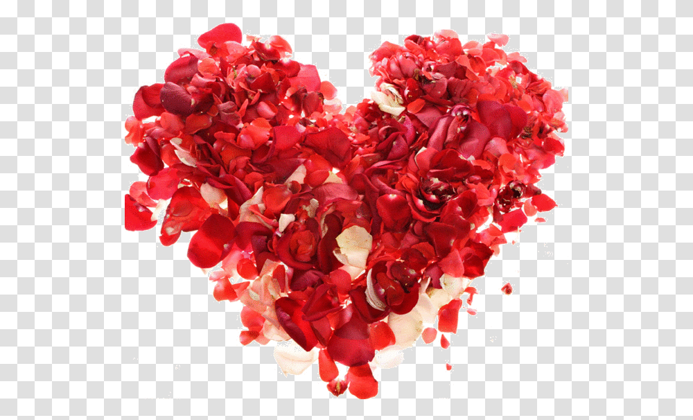 Rose Heart Multumesc Tuturor Pentru Frumoasele Urari, Geranium, Flower, Plant, Blossom Transparent Png