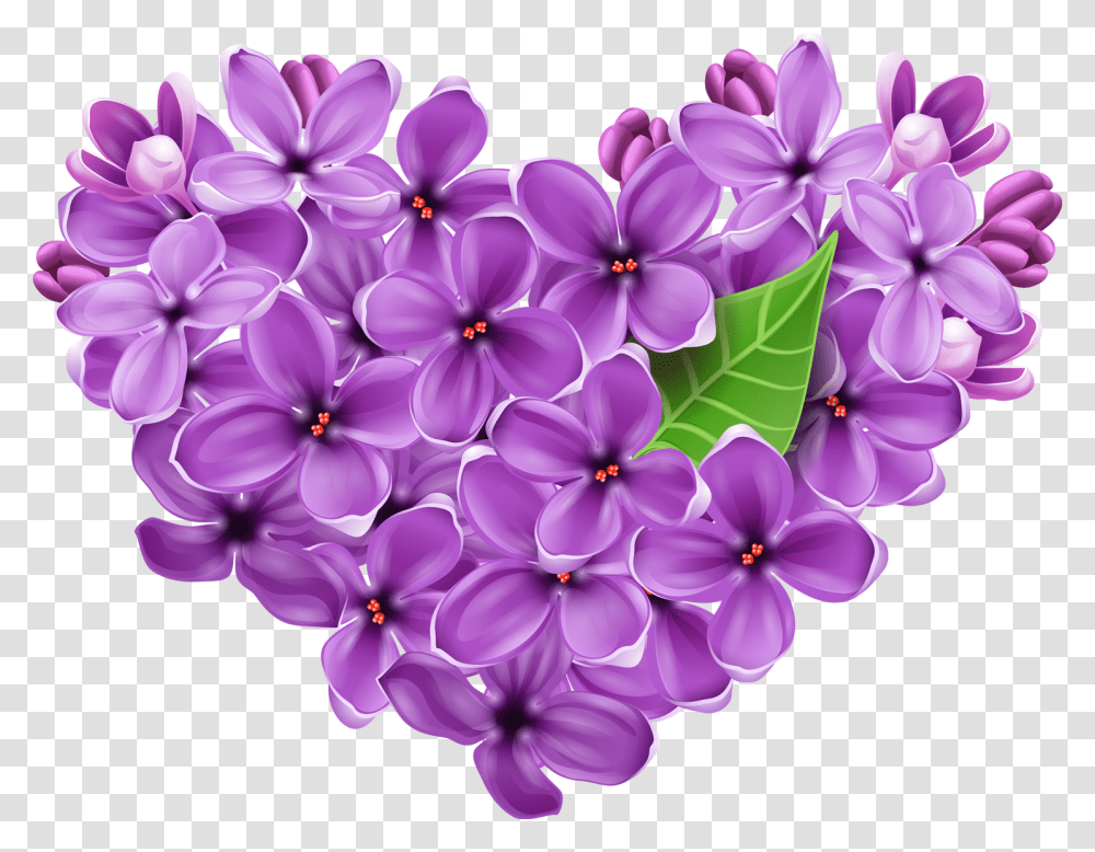 Rose Heart Photo Mart Lilac Clipart, Plant, Flower, Blossom, Geranium Transparent Png