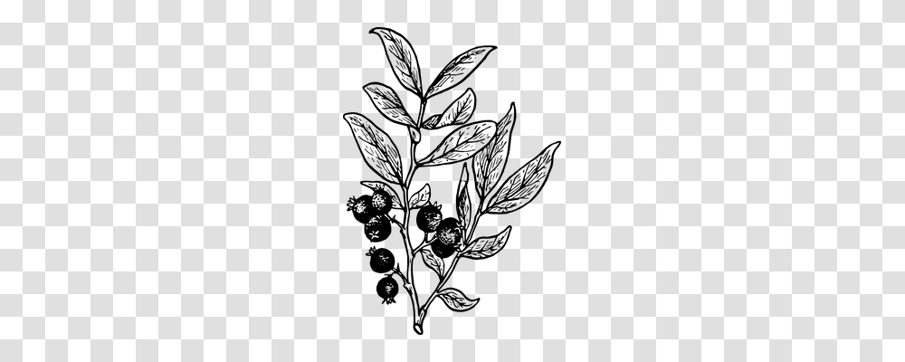 Rose Hip Technology, Gray, World Of Warcraft Transparent Png