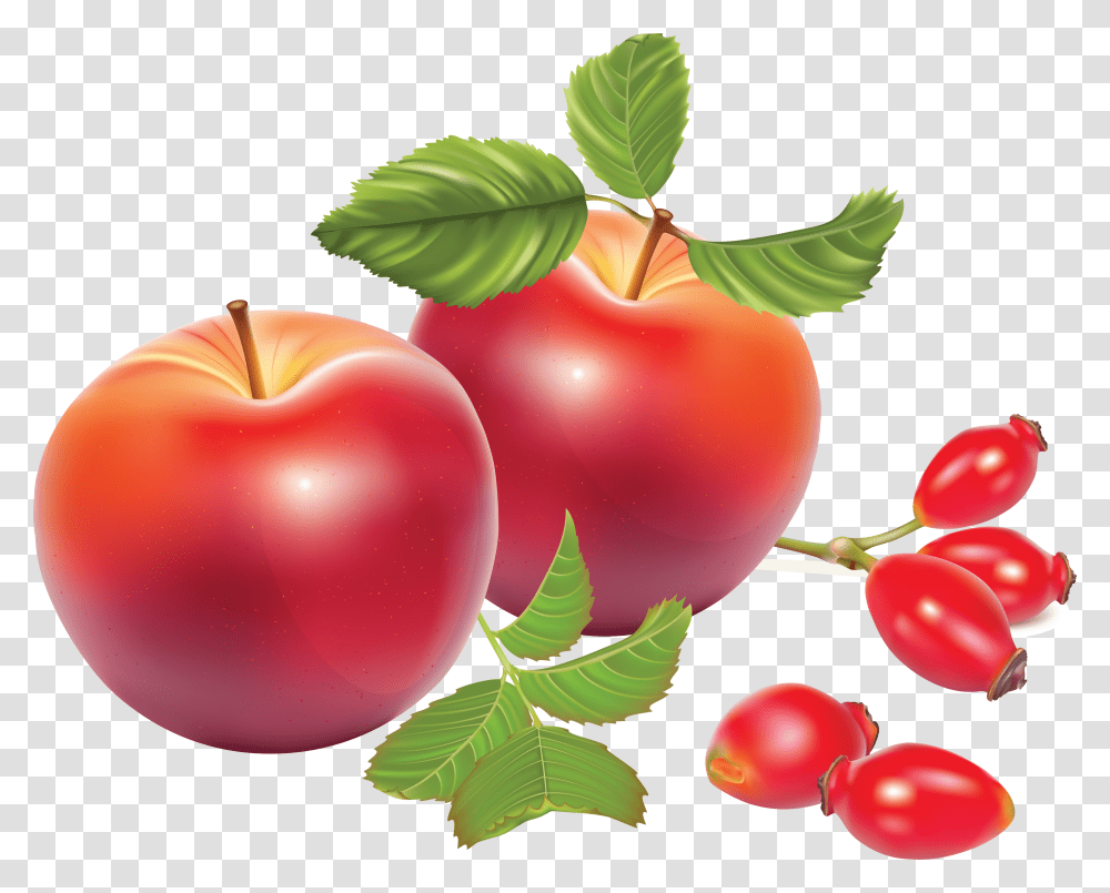 Rose Hip, Plant, Fruit, Food, Apple Transparent Png