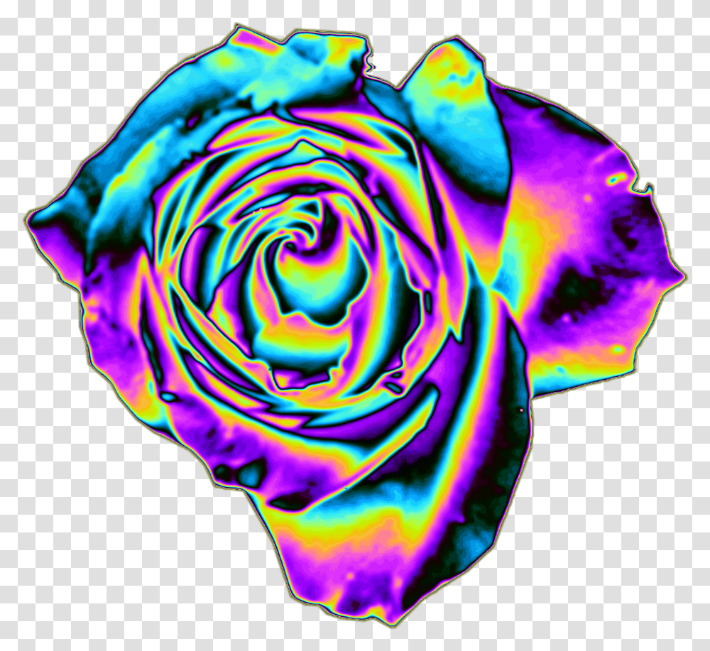 Rose Holo Holographic Flower Iridescent Pastel Rainbow Flowers, Spiral, Purple, Light, Fractal Transparent Png