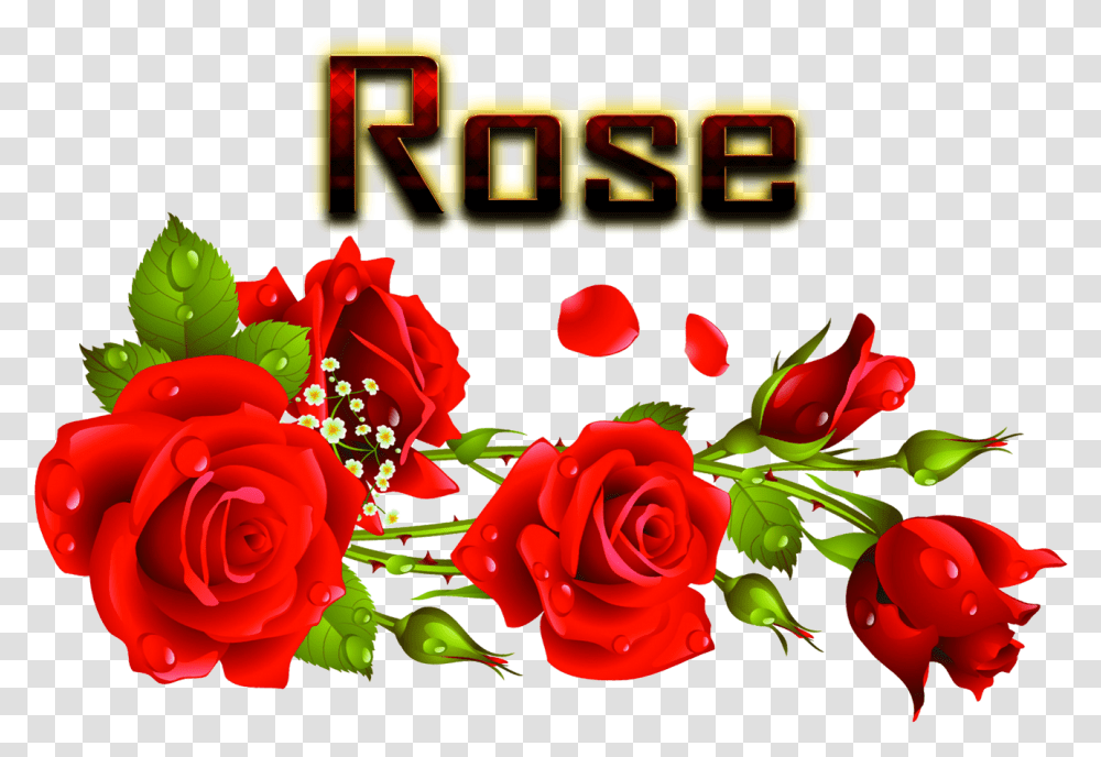 Rose Image File Hd Rose Garden, Flower, Plant, Blossom Transparent Png