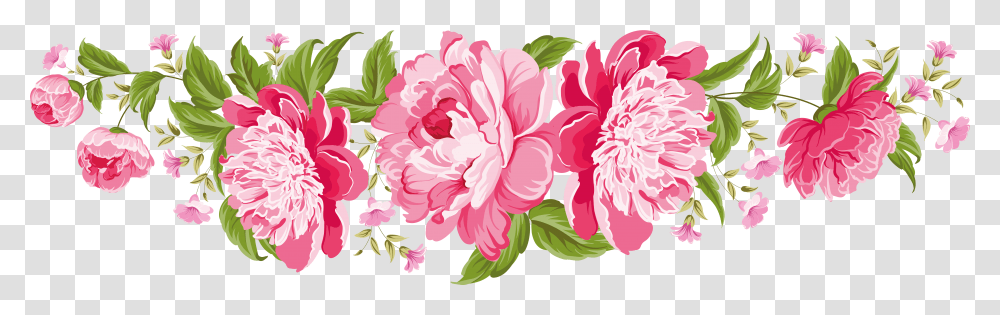 Rose Image Hd Borders, Plant, Peony, Flower, Blossom Transparent Png