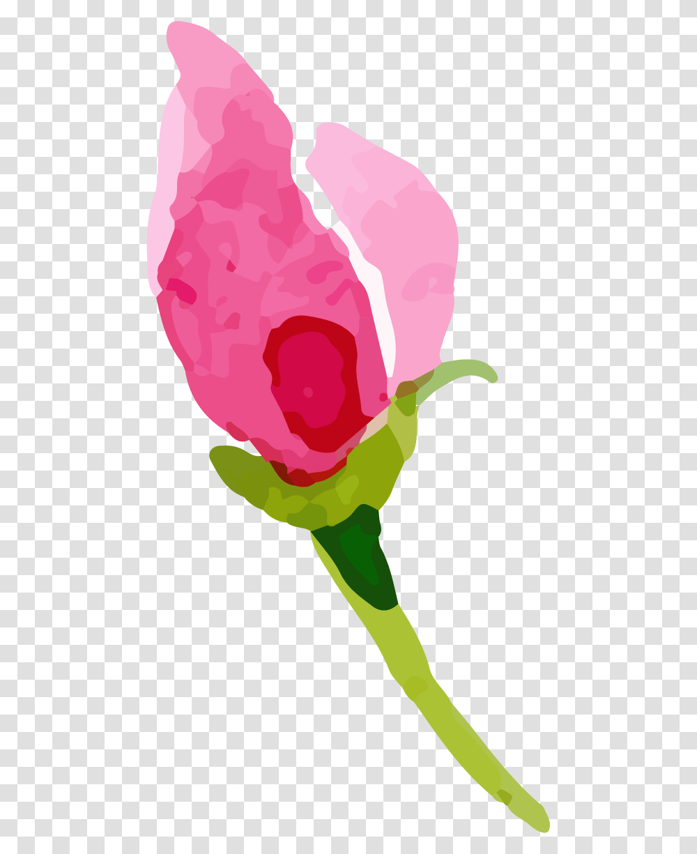 Rose Images A Flower That Speaks Only, Plant, Blossom, Petal, Person Transparent Png
