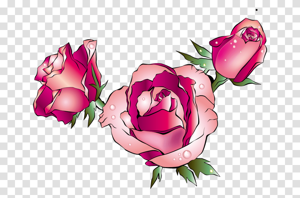 Rose Images Cartoon Garden Roses, Flower, Plant, Blossom, Petal Transparent Png