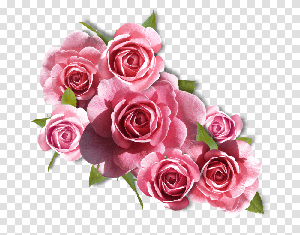 Rose Images Flower Images Rose Pictures Flower Art Ramos De Rosa, Plant, Blossom, Flower Bouquet, Flower Arrangement Transparent Png