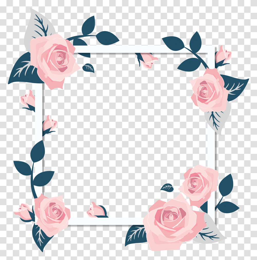 Rose Images - A Flower That Speaks Only Frame Flower, Plant, Blossom, Sweets, Food Transparent Png
