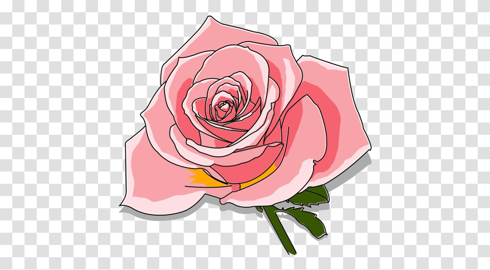 Rose Leaf Close Up Clipart Material Object Close Up Rose, Flower, Plant, Blossom, Petal Transparent Png