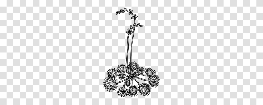 Rose Leaf Line Art Floral Design Plant Stem, Gray, World Of Warcraft Transparent Png