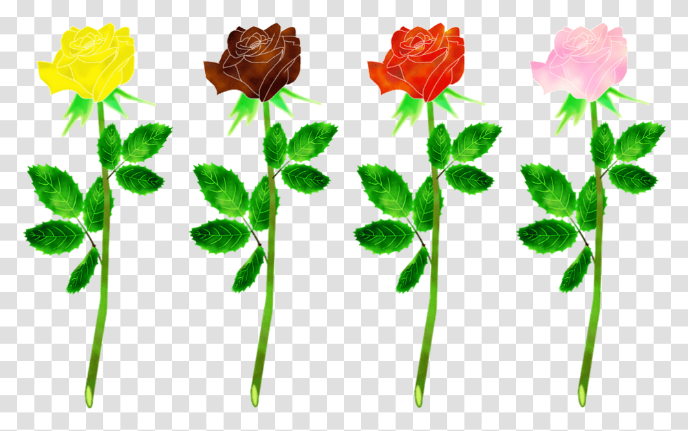 Rose Leaf Pimpollo De Rosas, Flower, Plant, Blossom, Petal Transparent Png