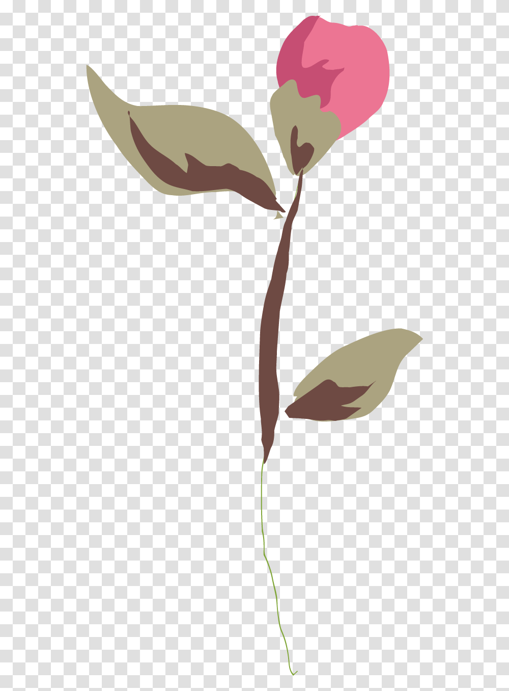 Rose Leaf, Plant, Flower, Petal, Bud Transparent Png