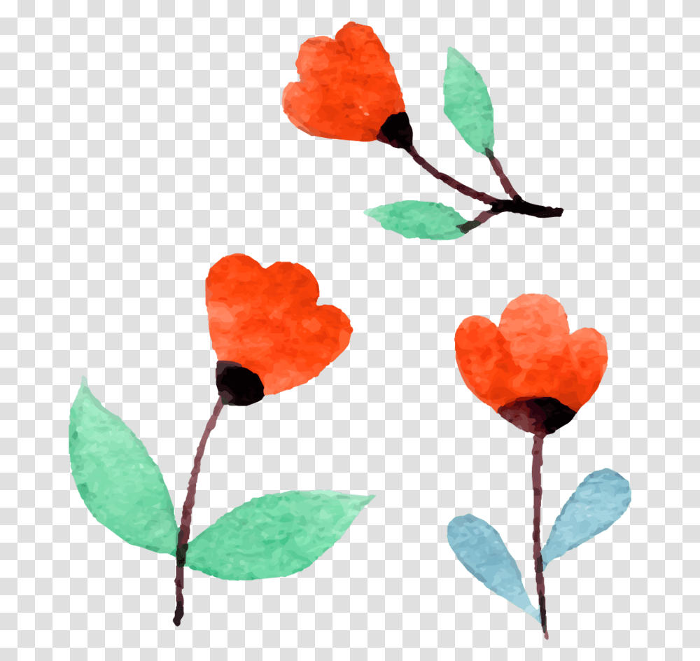 Rose, Leaf, Plant, Petal, Flower Transparent Png