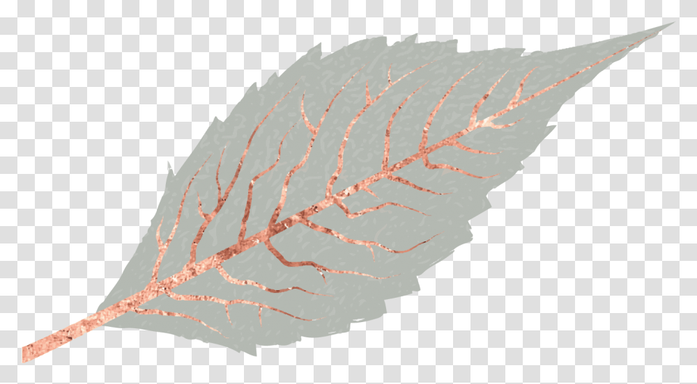 Rose Leaves Rose Gold Leaf, Plant, Veins, Mineral, Diamond Transparent Png