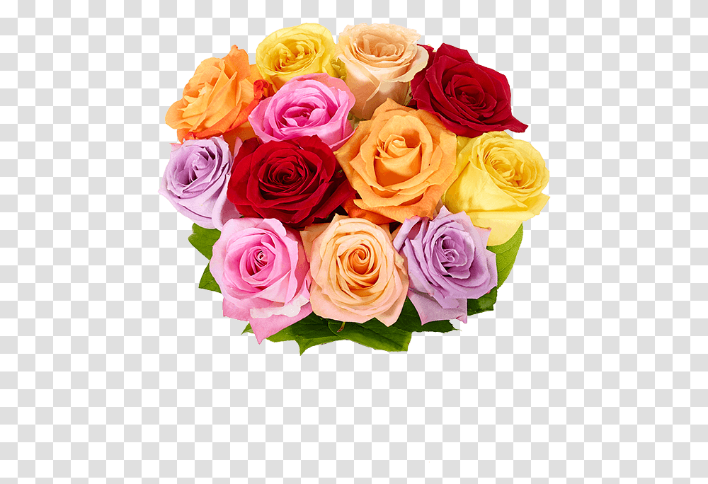 Rose Mothers Day Flowers, Plant, Blossom, Flower Bouquet, Flower Arrangement Transparent Png
