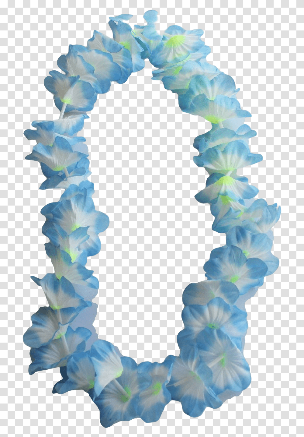 Rose, Ornament, Plant, Flower, Blossom Transparent Png