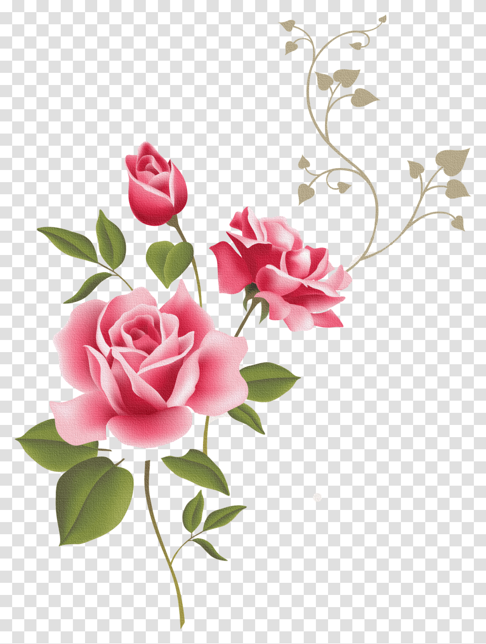 Rose Outline Clip Art Borders Flowers Rose, Floral Design, Pattern, Plant Transparent Png