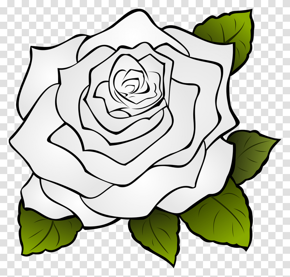Rose Outline, Flower, Plant, Blossom Transparent Png