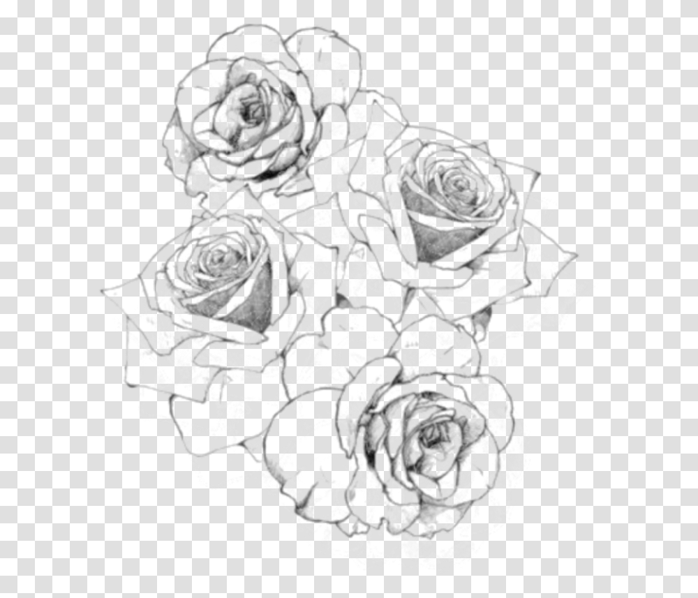Rose Outline Flower Rose Drawing, Floral Design, Pattern Transparent Png