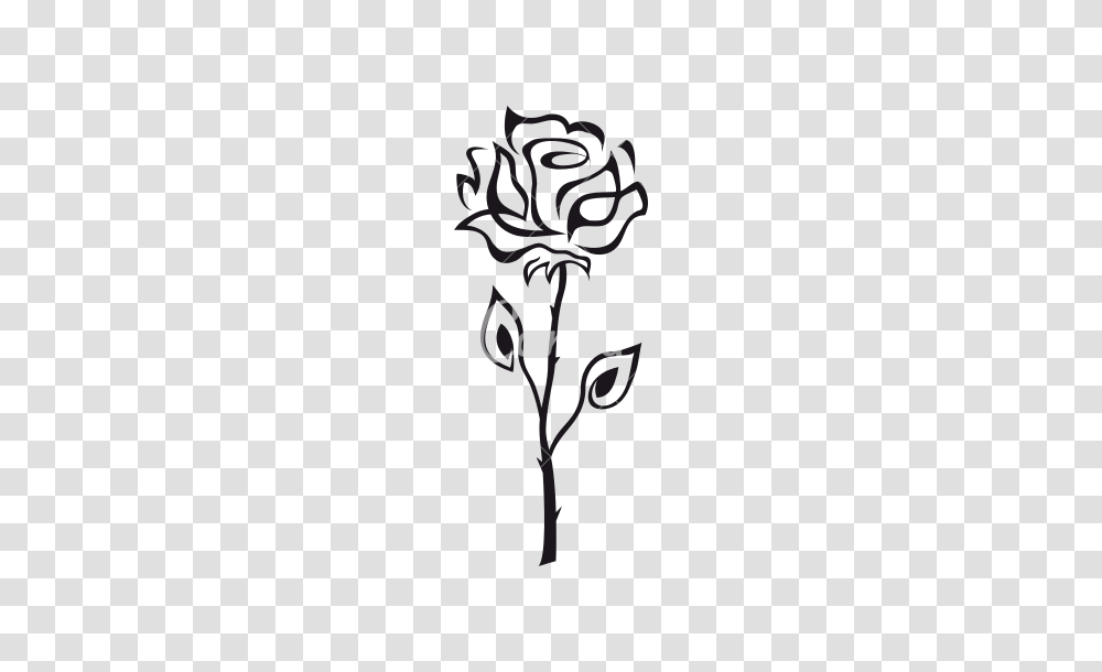 Rose Outline Realistic Drawing Rose With Thorns Outline Images, Logo, Alphabet Transparent Png