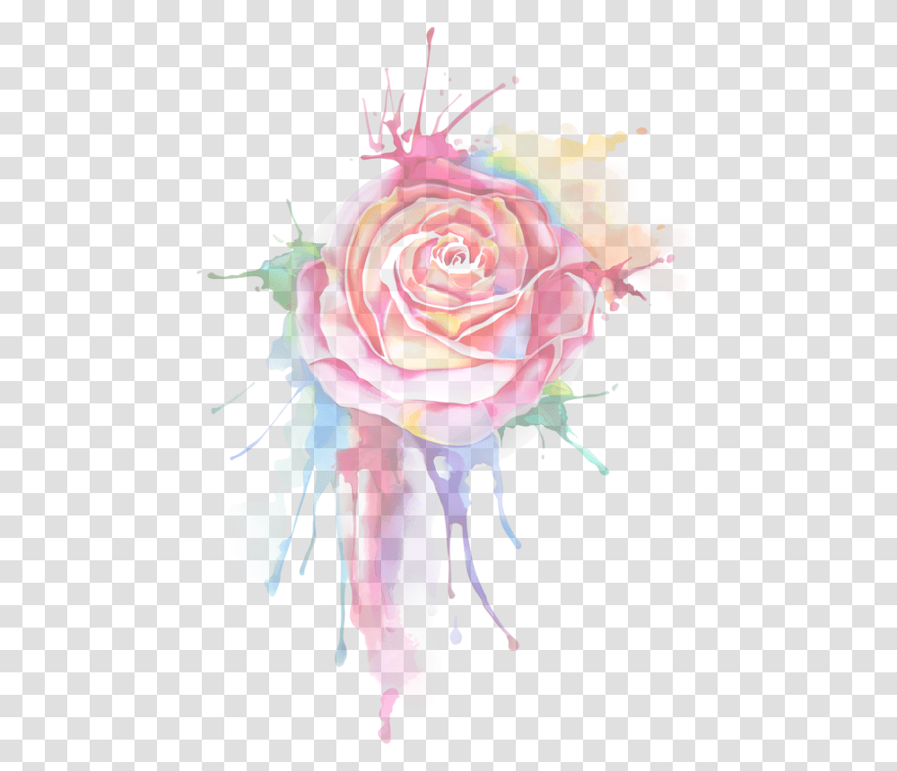 Rose Painting Download Watercolor Paint Splash, Flower, Plant, Blossom Transparent Png
