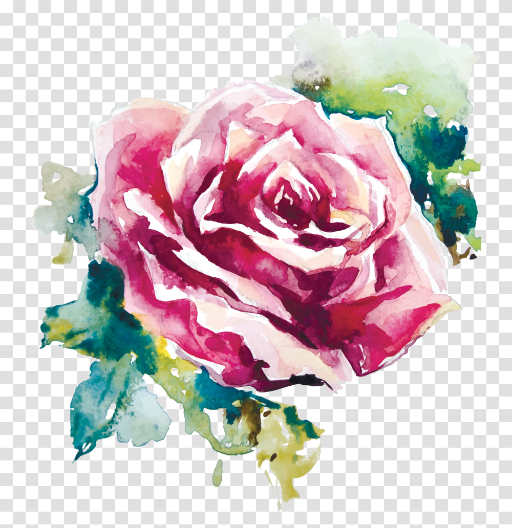Rose Painting Vector Download Rose Flower Watercolor Painting, Plant, Blossom, Geranium Transparent Png