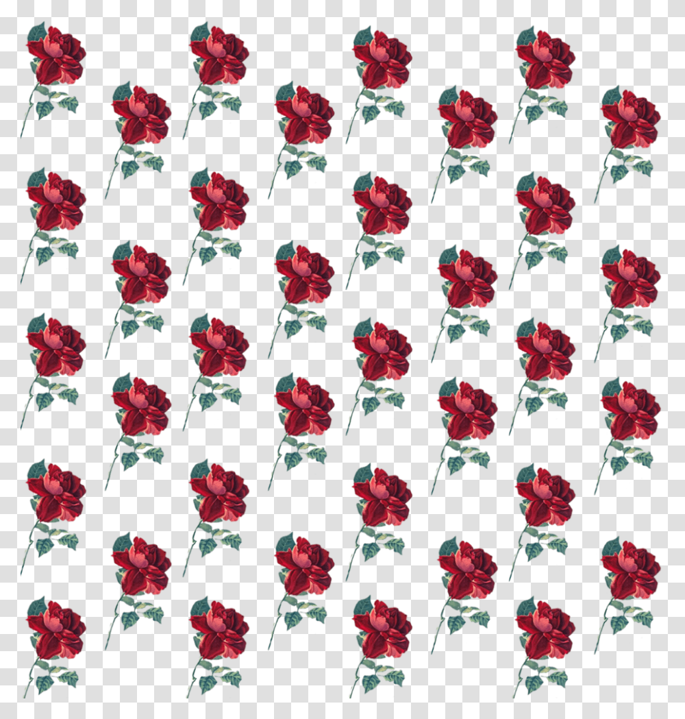 Rose Pattern Flower Background Cute Freetoedit Hybrid Tea Rose, Petal, Plant Transparent Png