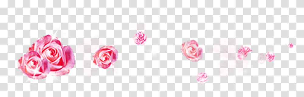 Rose Pedals Rose, Plant, Flower, Blossom Transparent Png