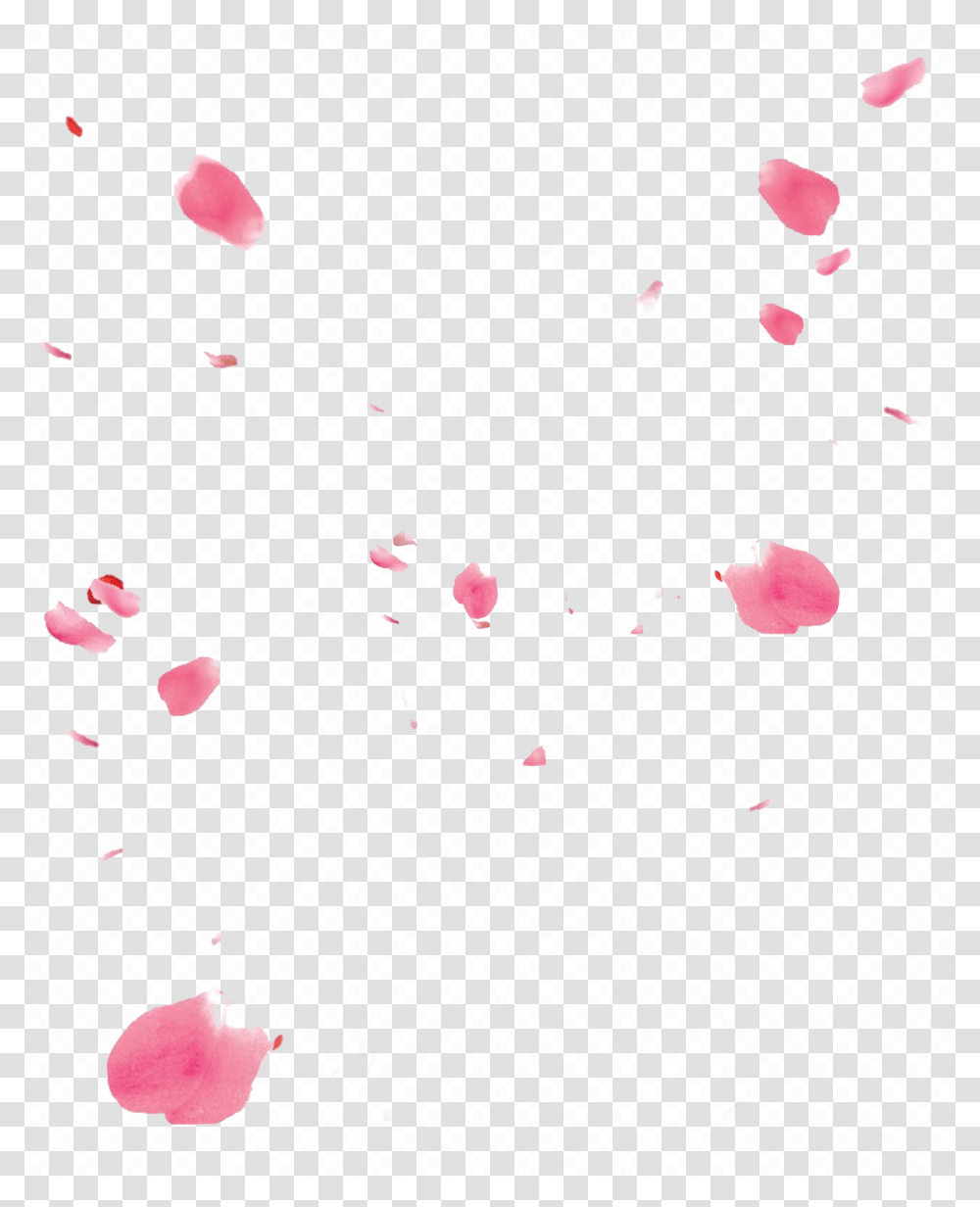 Rose, Petal, Flower, Plant, Blossom Transparent Png