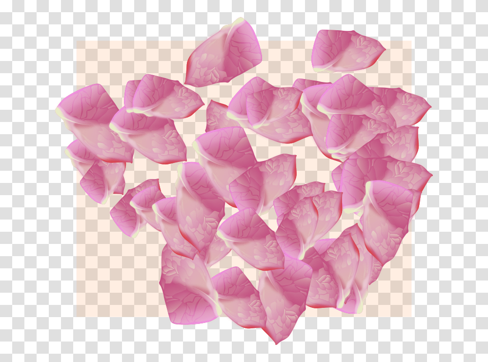 Rose, Petal, Flower, Plant, Blossom Transparent Png