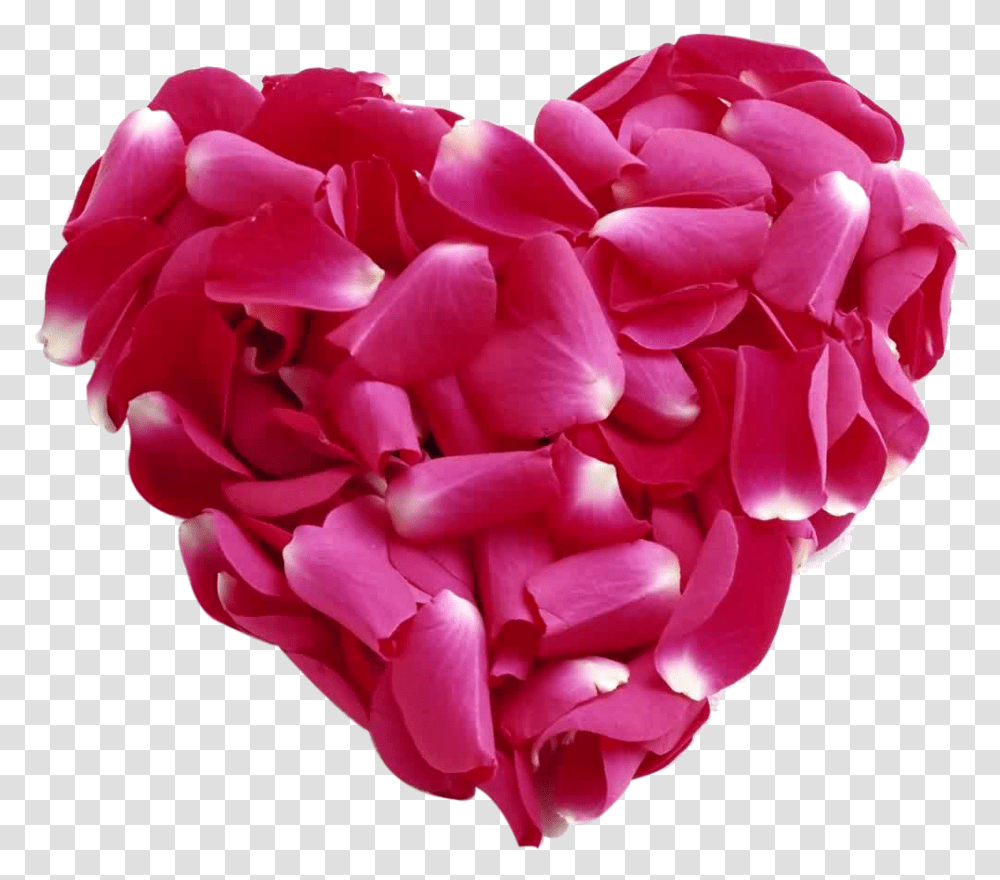 Rose Petal Heart Images Loe Heart, Flower, Plant, Blossom, Peony Transparent Png