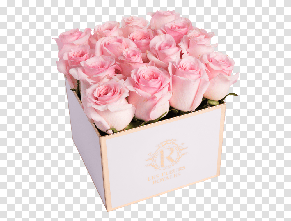 Rose Petal Pink Lovely, Plant, Flower, Blossom, Flower Bouquet Transparent Png