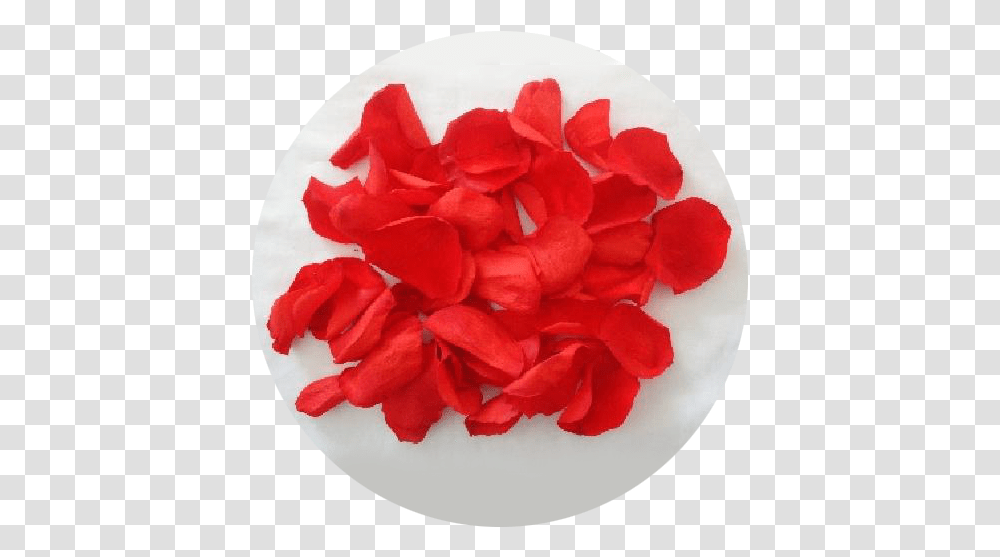 Rose Petals Asmini Flowers Artificial Flower, Plant, Blossom, Geranium, Heart Transparent Png