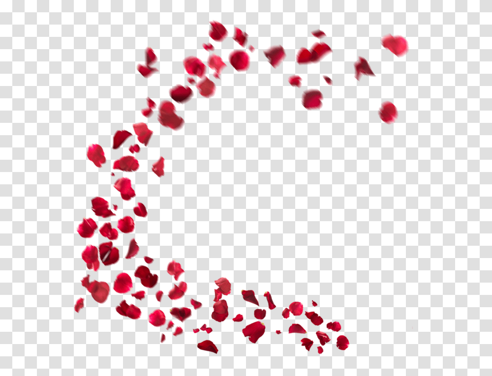 Rose Petals, Flower, Plant, Blossom, Paper Transparent Png