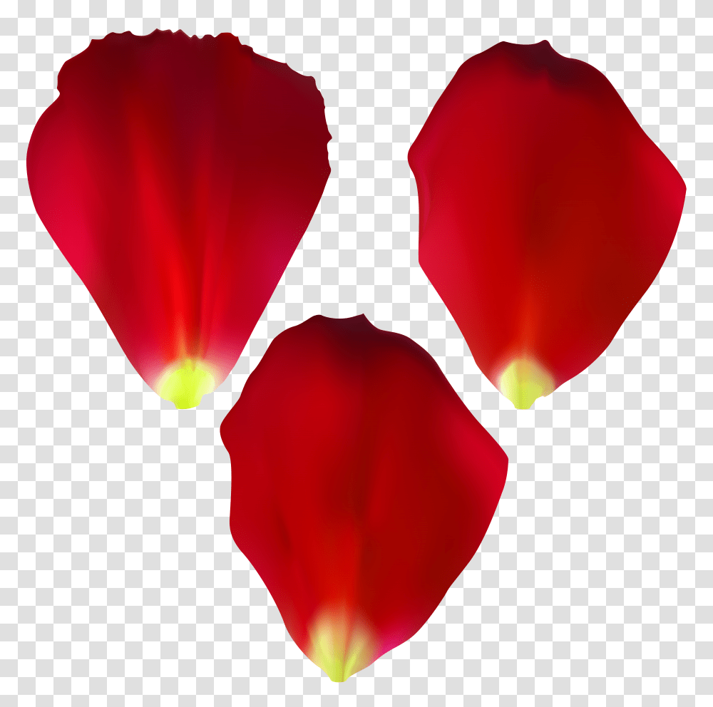 Rose Petals Set Clip, Modern Art, Plant, Flower Transparent Png