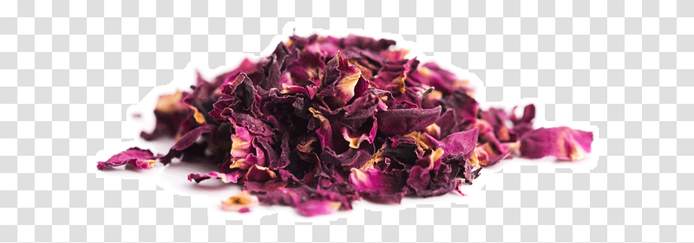 Rose Petals Sold By Supernova Gypsii Dried Rose Petals, Kale, Cabbage, Vegetable, Plant Transparent Png