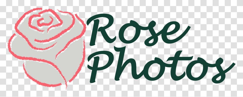 Rose Photography Moto Eleven, Alphabet, Number Transparent Png