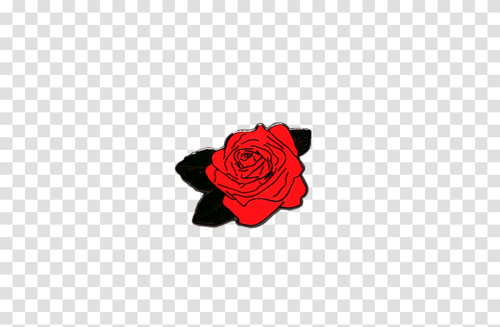 Rose Pinhype, Flower, Plant, Blossom, Petal Transparent Png