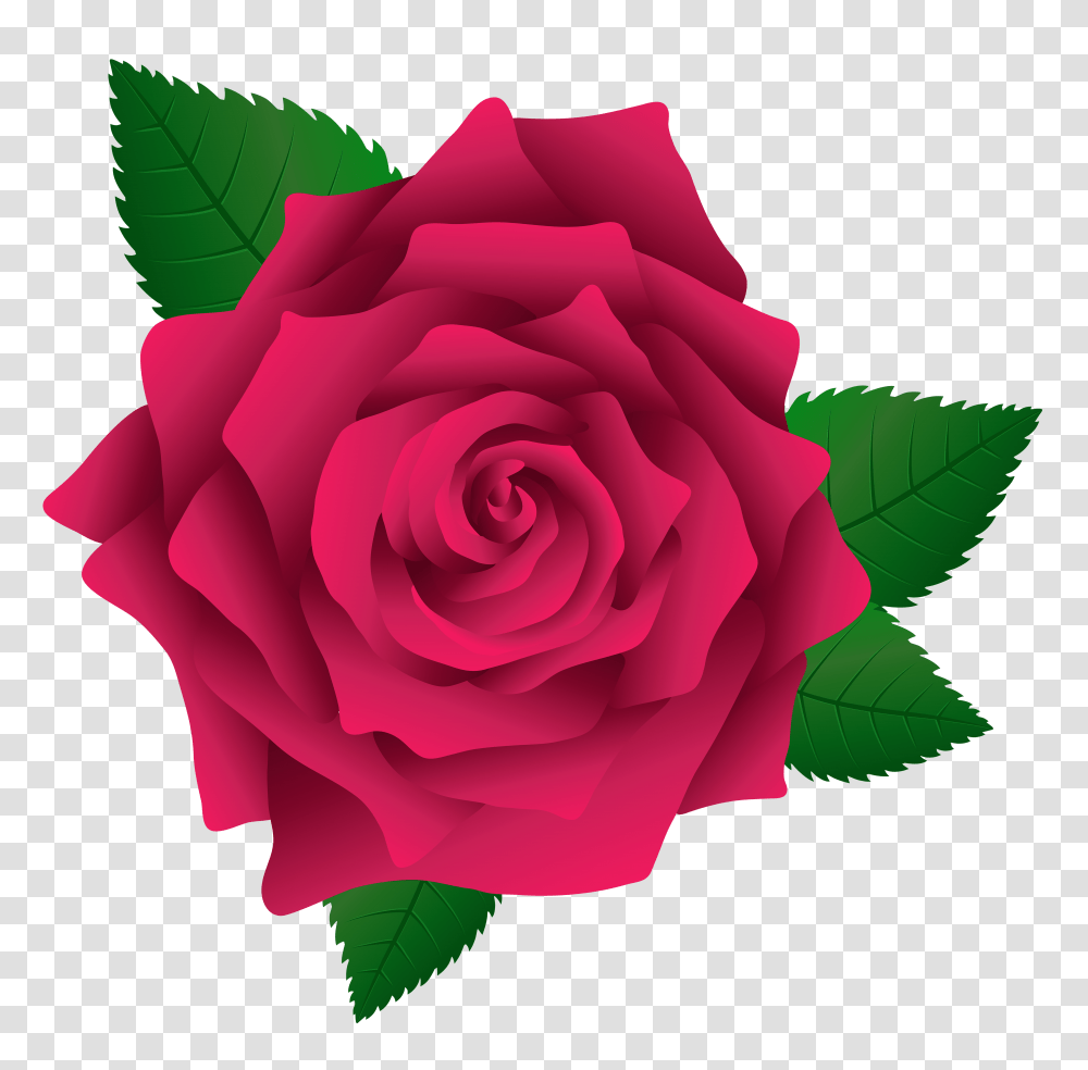 Rose Pink Clip Art Transparent Png