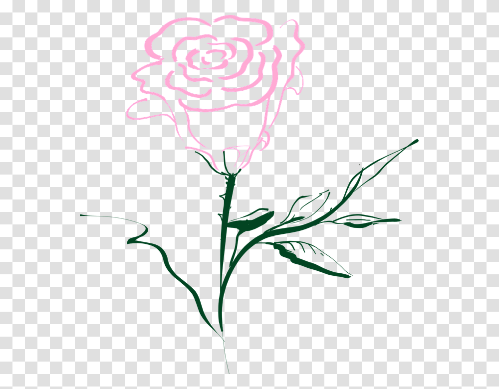 Rose Pink Flower Rose Clip Art, Plant, Blossom, Dahlia, Daisy Transparent Png