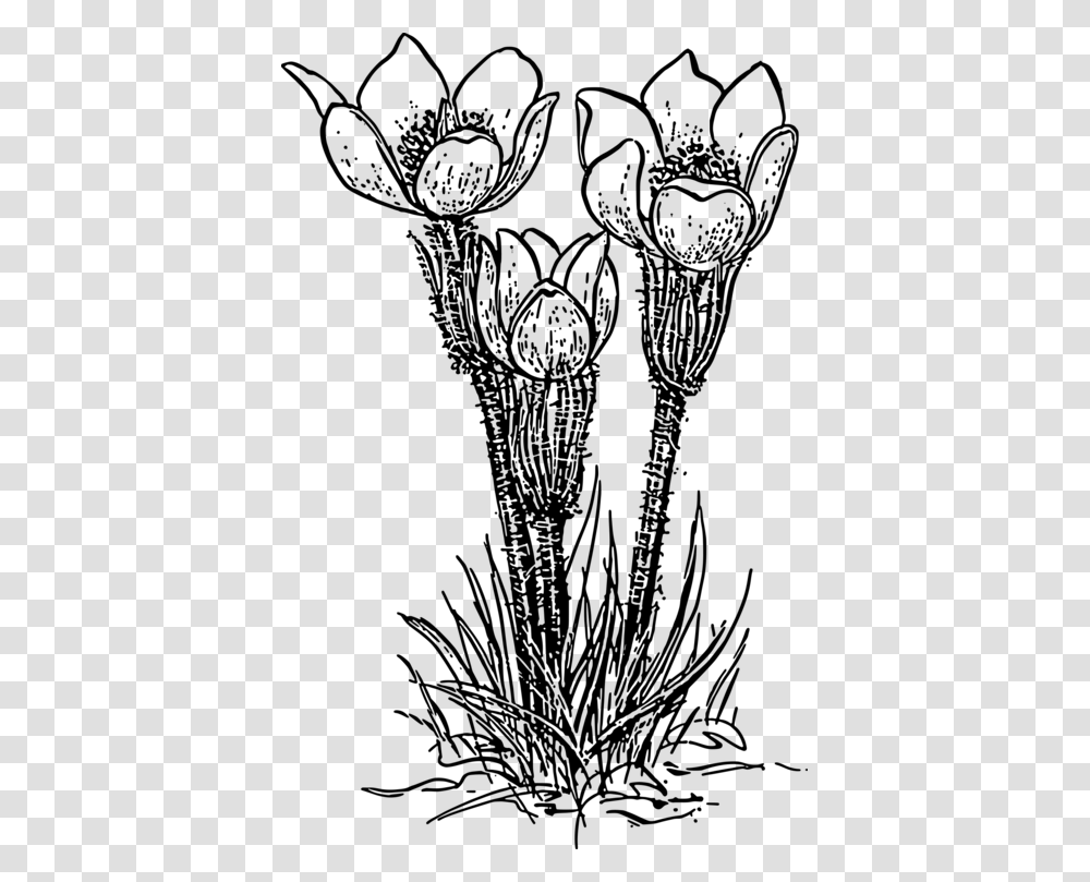 Rose Plant Clipart Black White, Gray, World Of Warcraft Transparent Png