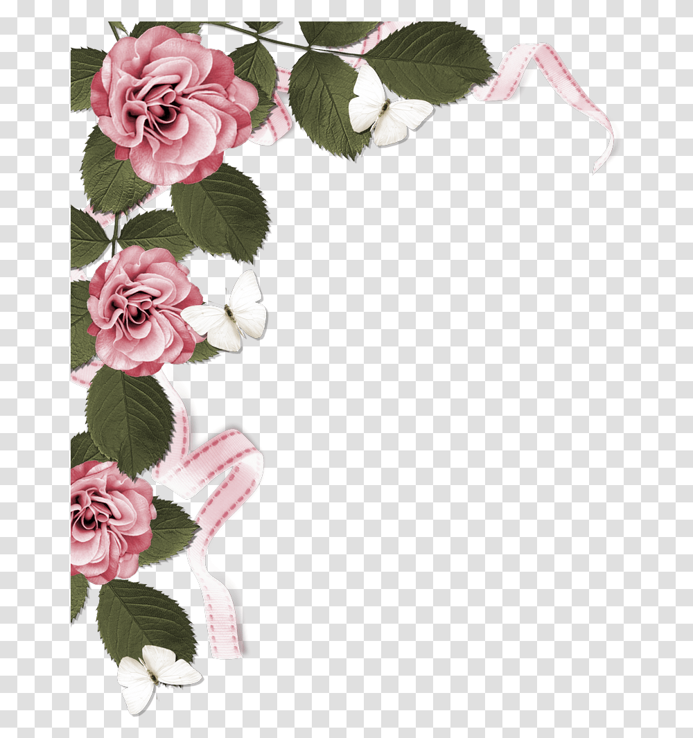 Rose, Plant, Flower, Blossom, Geranium Transparent Png