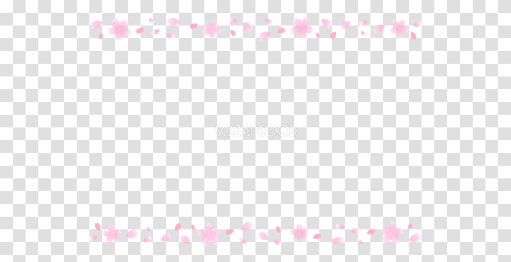 Rose, Plant, Flower, Blossom, Paper Transparent Png